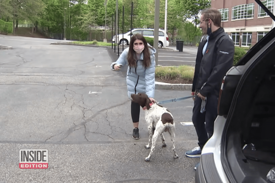 Reports Finds Stolen Dog