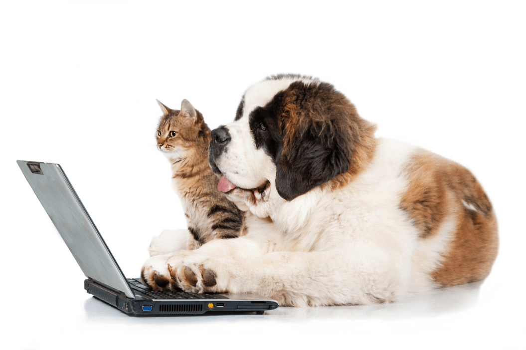 Pet Approved Smart Home Tech