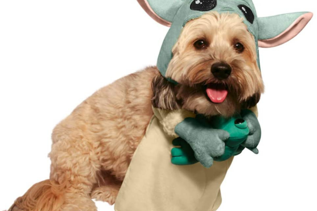 baby yoda dog costume