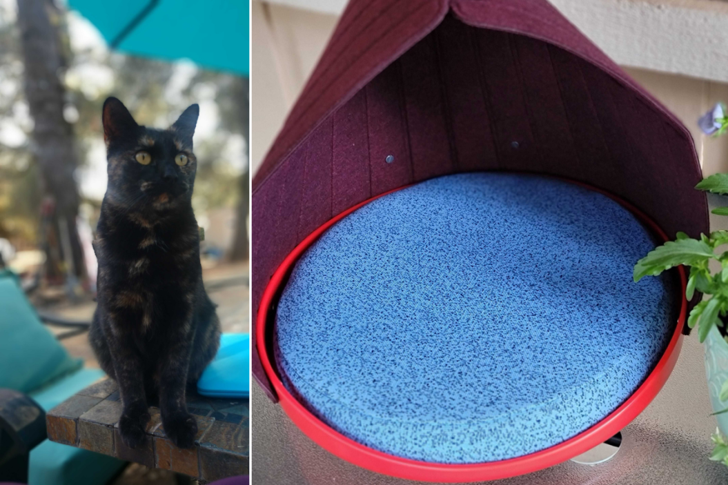 cat person cat bed