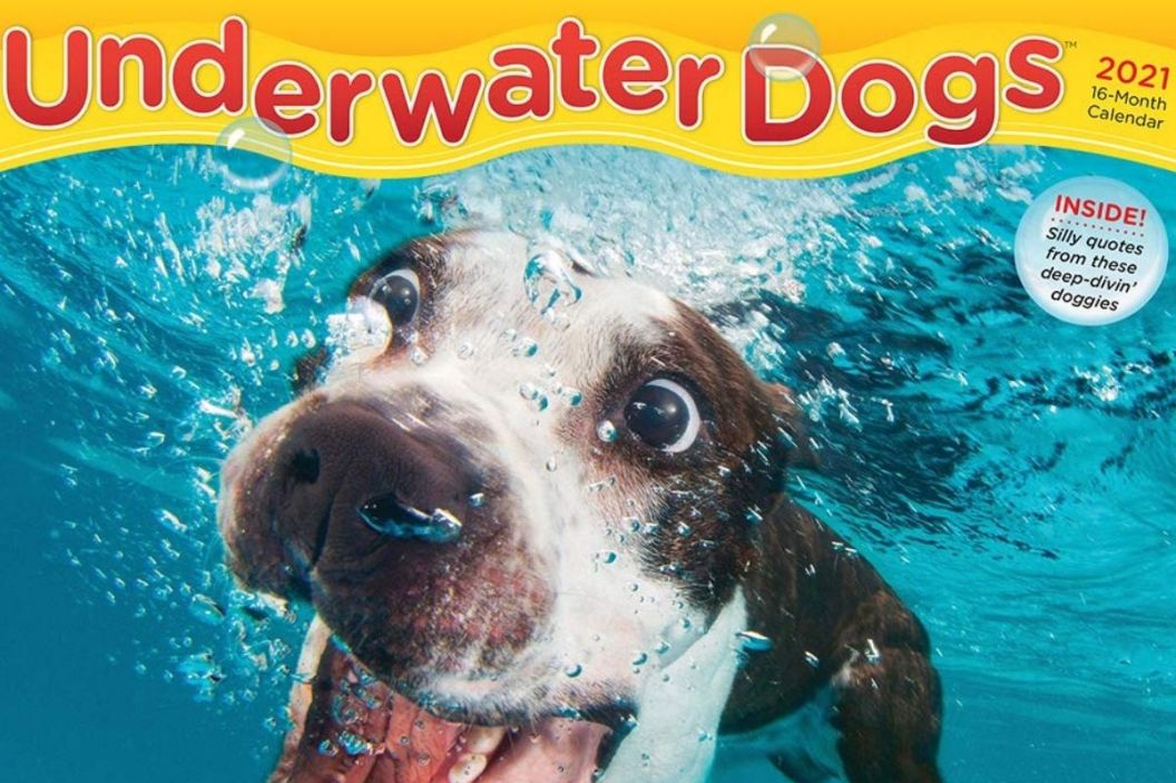 dog calendar