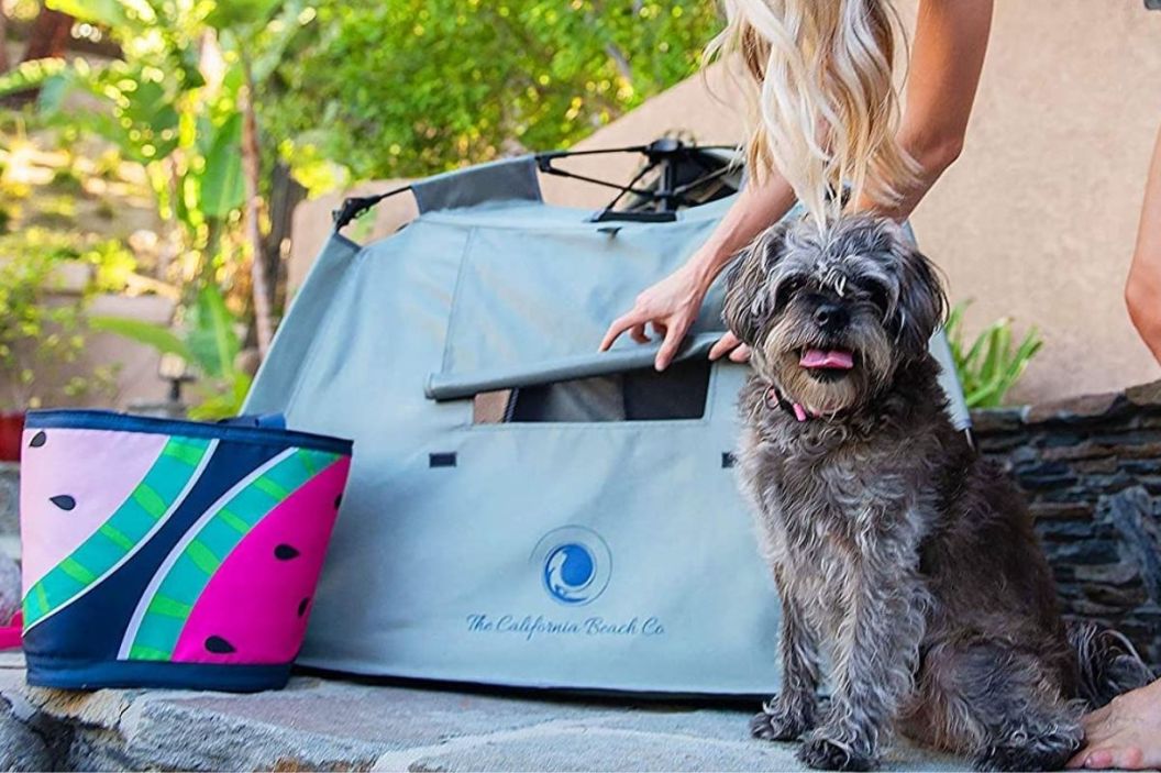 dog tent