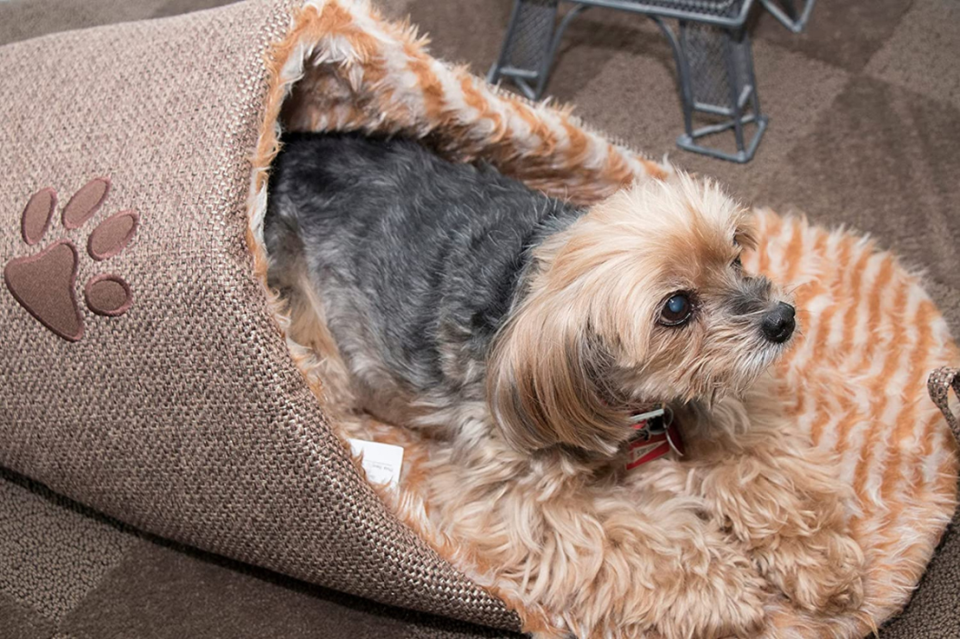 croc dog bed brown with dog inside