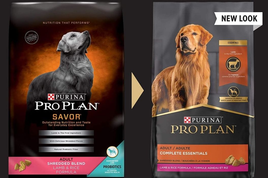 high fiber dog food