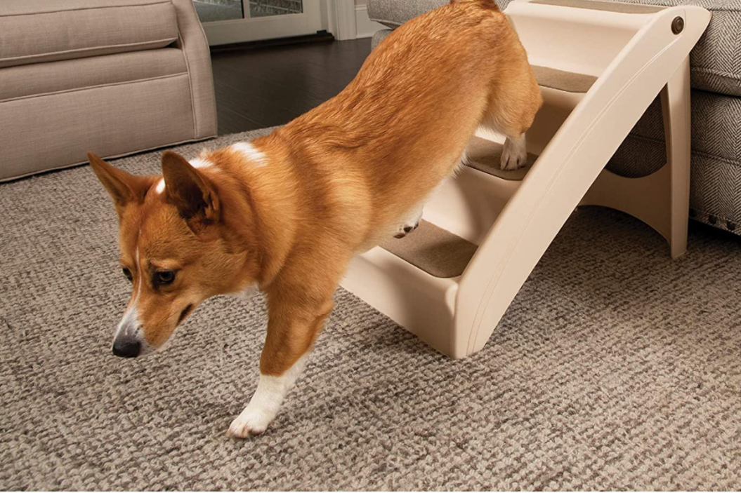 pet stairs for tall beds