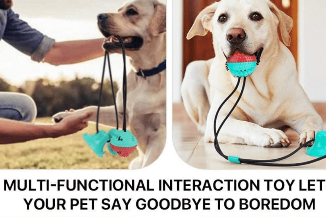 Suction Cup Dog Toy, Pet Molar Bite Toy with Double Suction Cup, Dog Chew Rope Ball Pull Toy for Aggressive Chewers, Fits for Small, Large Dogs/Cats