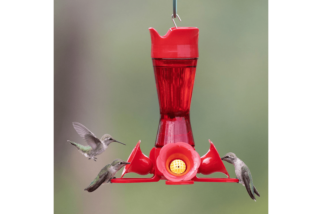 Perky-Pet 203CPBR Pinchwaist Hummingbird Feeder, Red Glass