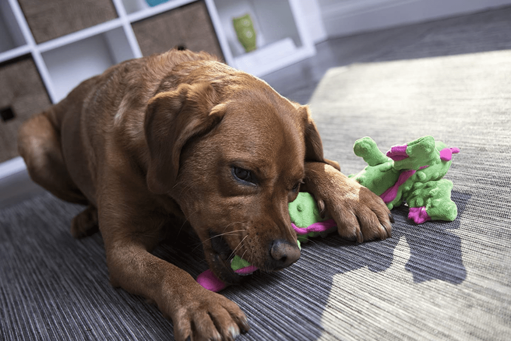 goDog, Dragons, Skinny, Squeaker Dog Toy, Chew Resistant, Durable Plush, Soft, Tough, Reinforced Seams, Green, Large