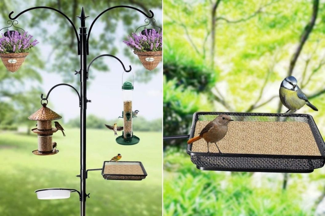 bird feeder pole