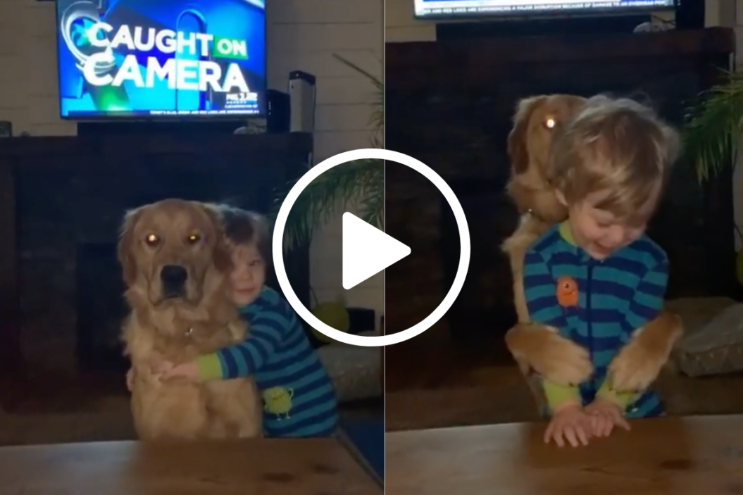 dog hugs back