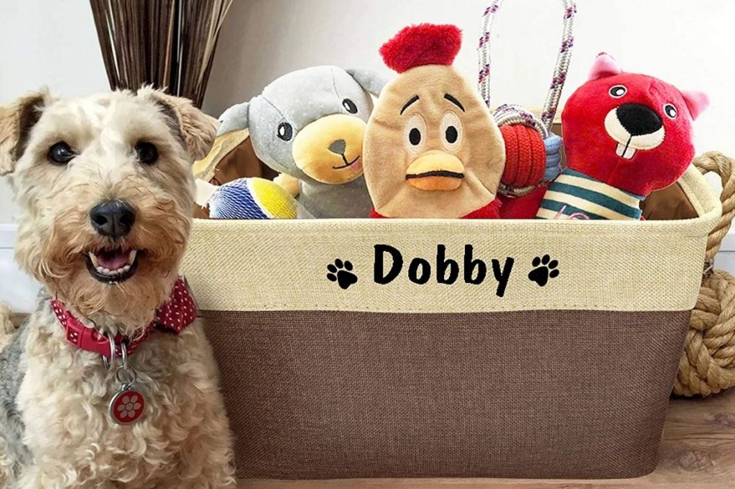 dog toy basket
