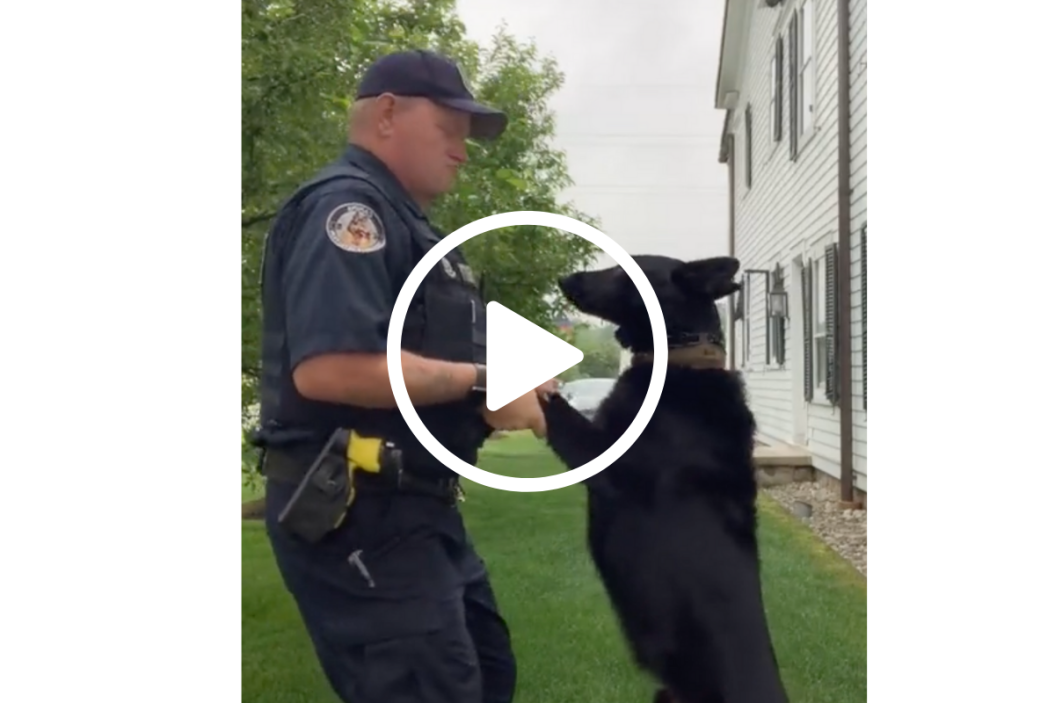 police dog tiktok
