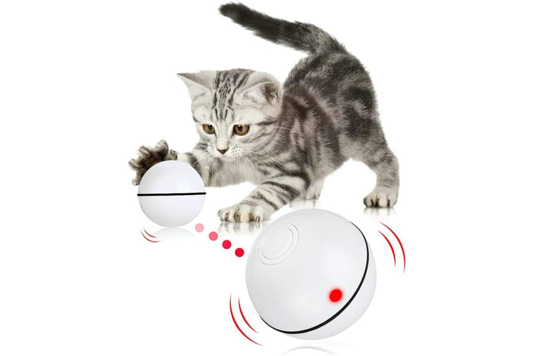 self rolling cat ball