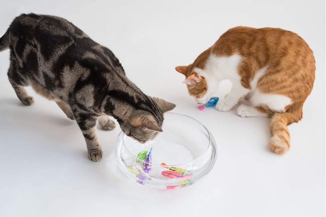 swimming fish toy