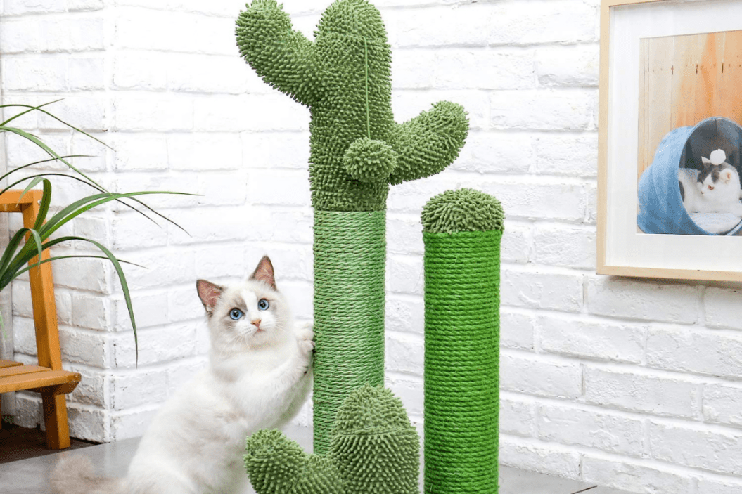 cactus cat scratching post