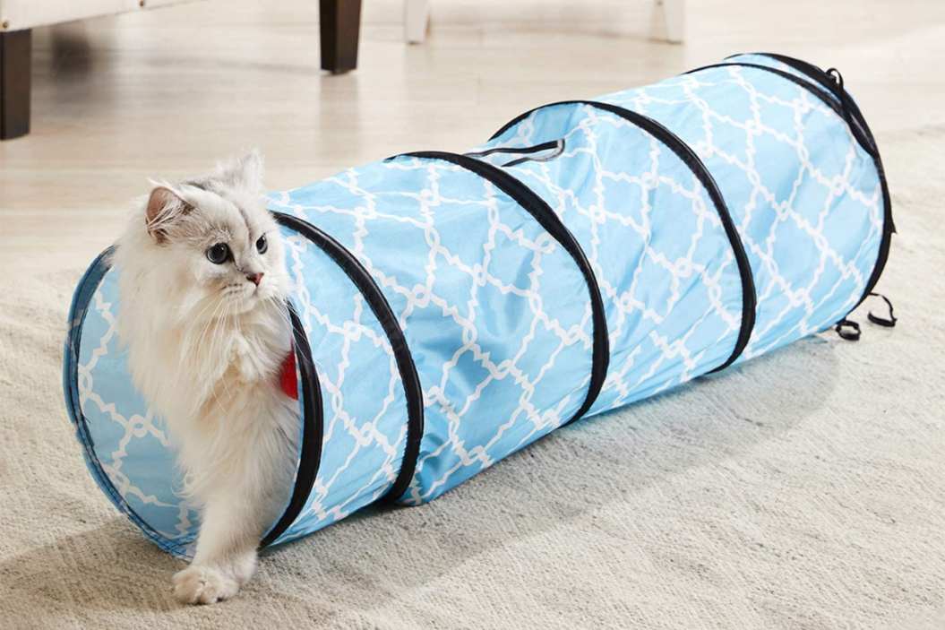 Cat Tunnel
