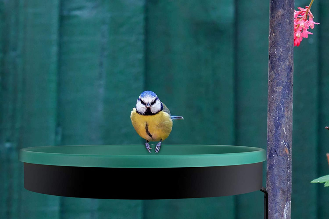 heated bird bath