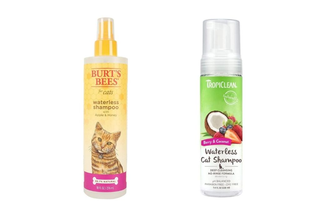 dry shampoo for cats
