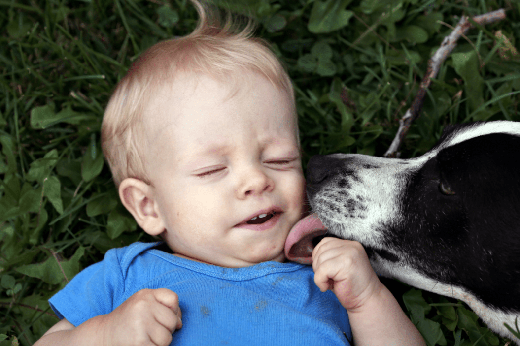 kissing pets unhealthy
