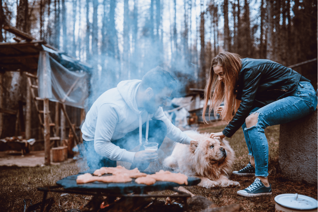 pet safe bbq