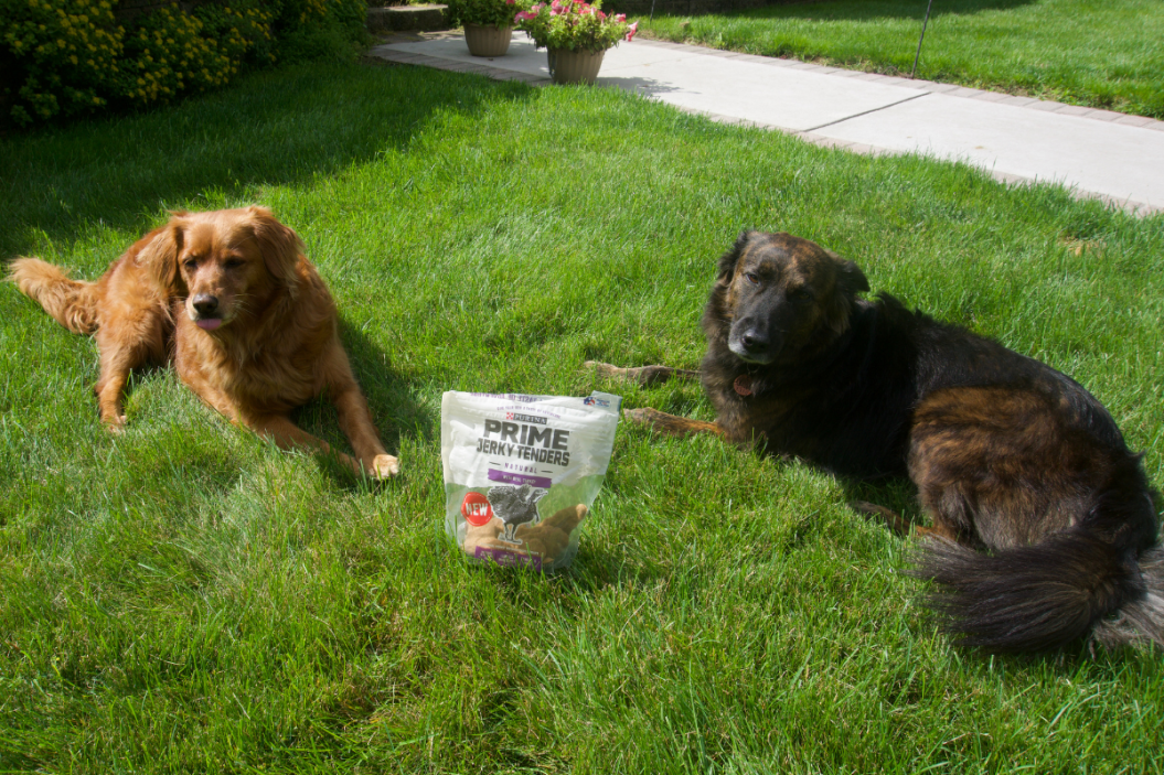 purina FI