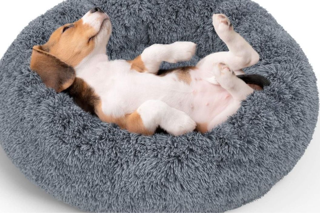 snuggle bed