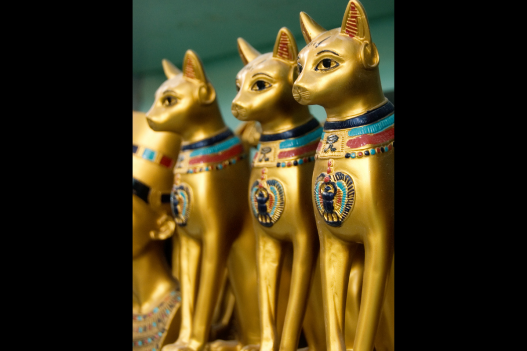 Egyptian cats