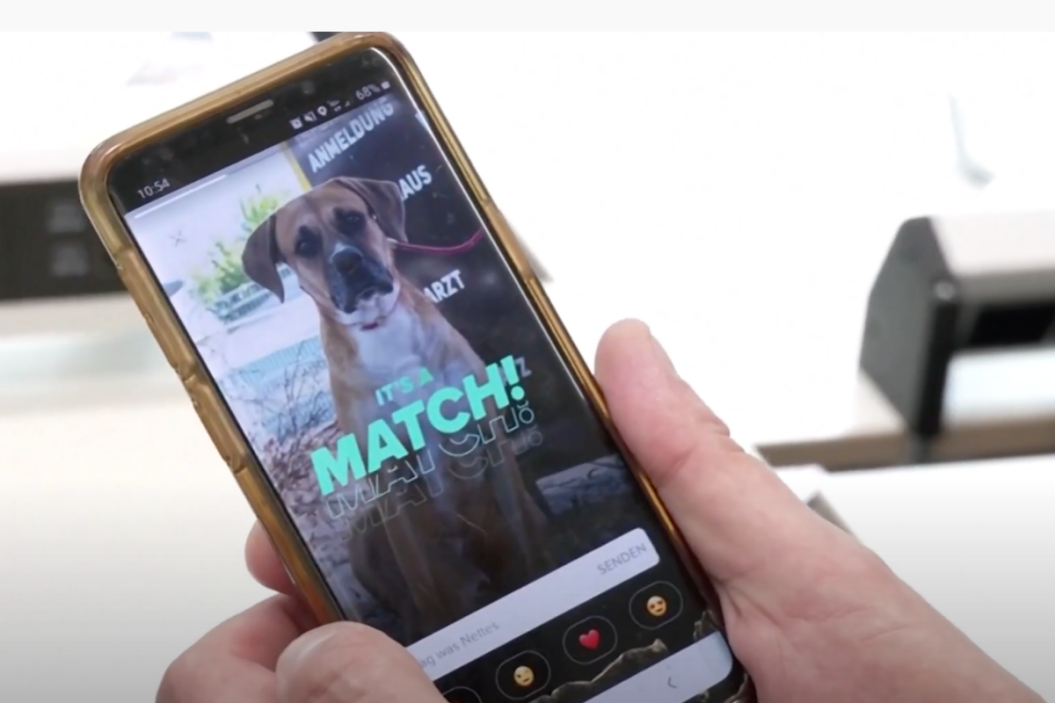 animal shelter uses Tinder