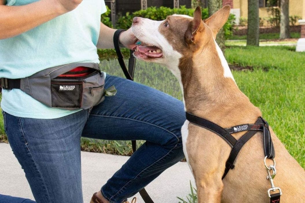 dog treat pouch
