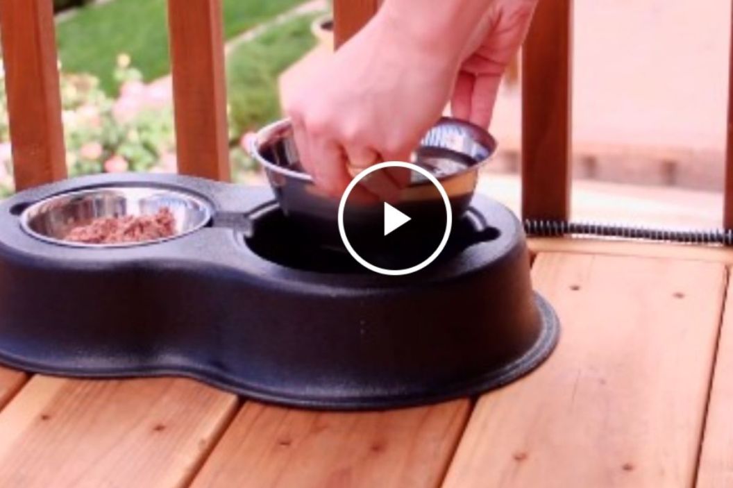 heated pet bowl
