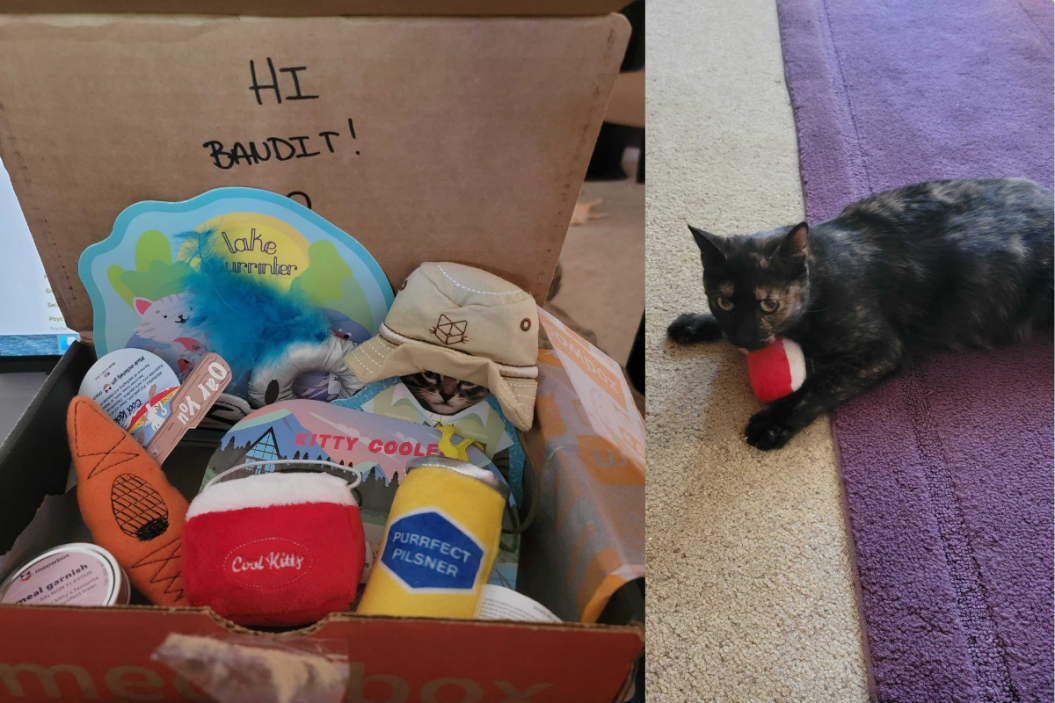meow box subscription review