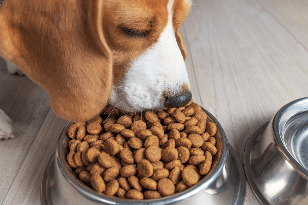 midwestern pet foods recall