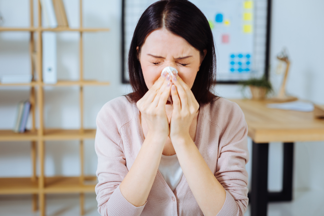 solutions for pet owner allergies