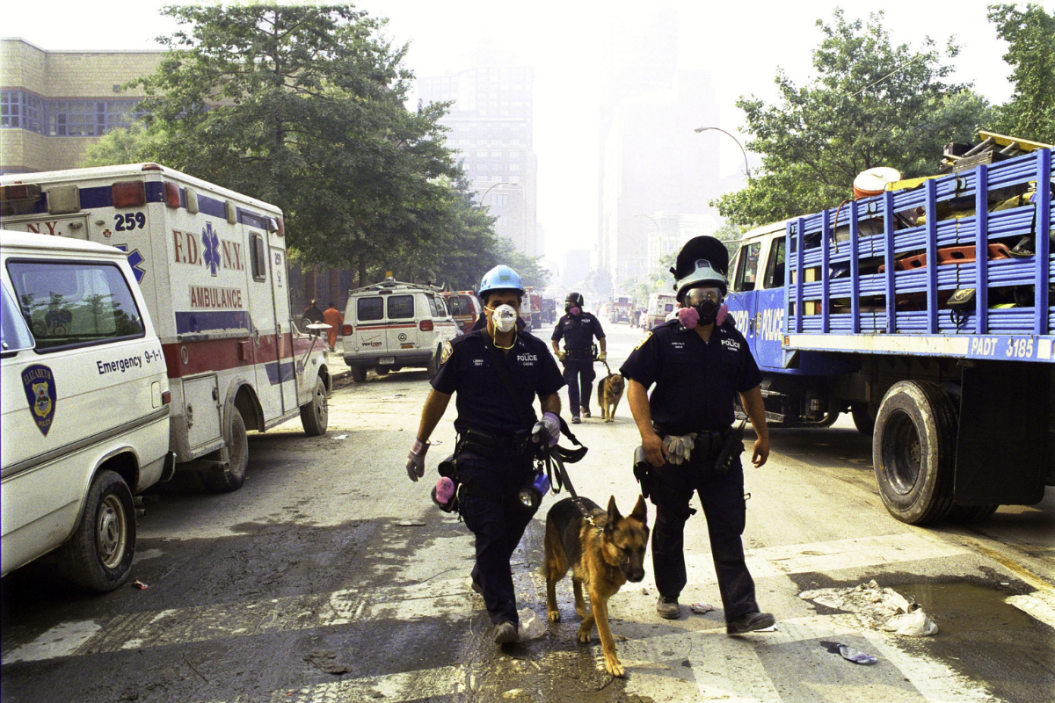 k-9 Courage