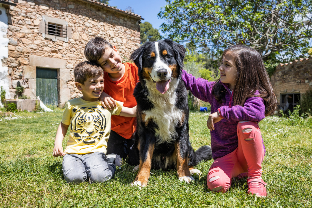 Growing up with pets