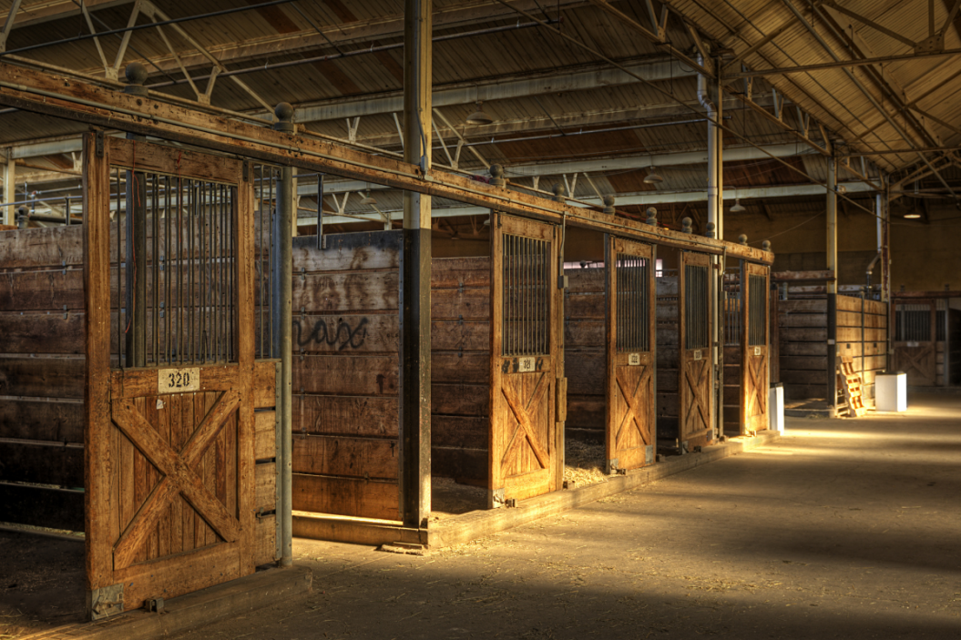 horse barns