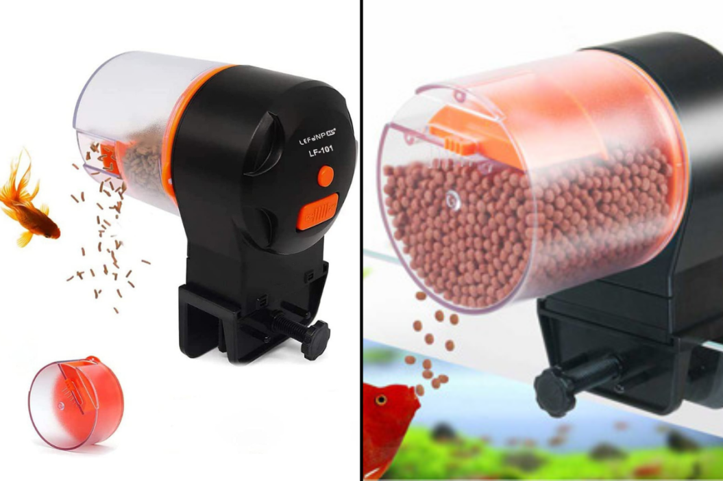 Auto Fish Feeder