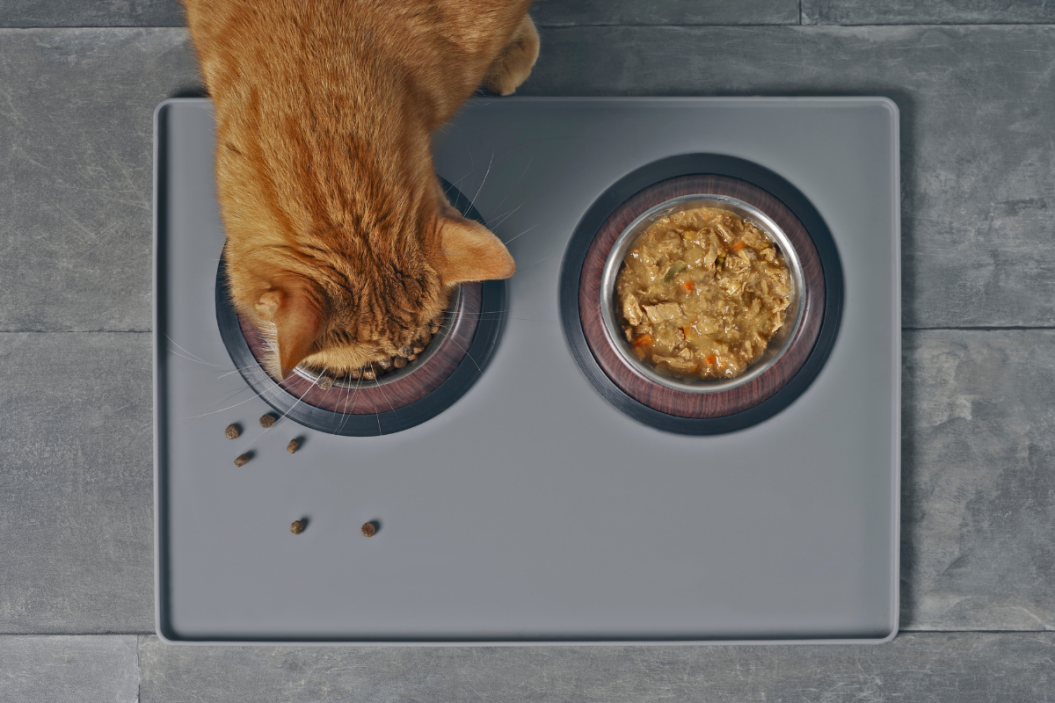 best pet food