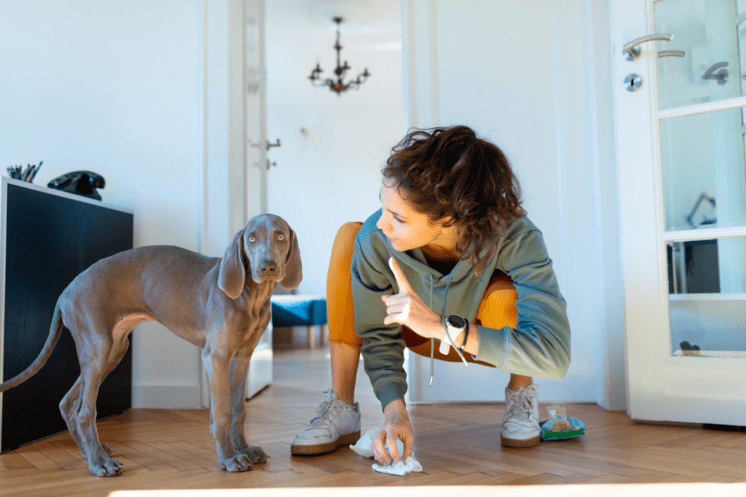 why do dogs eat poop