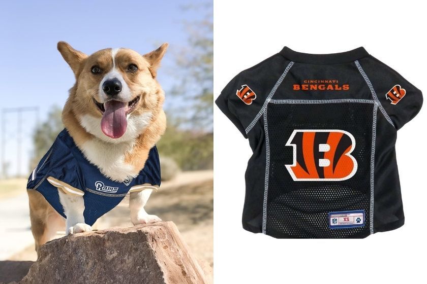 dog football jerseys