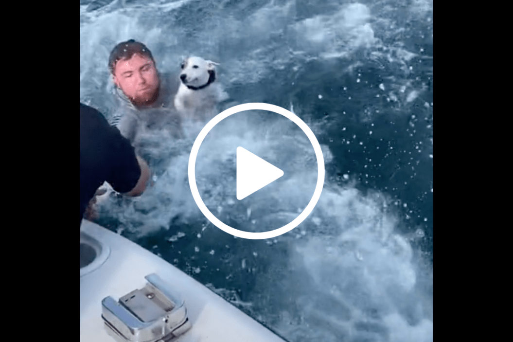 florida boaters save dog