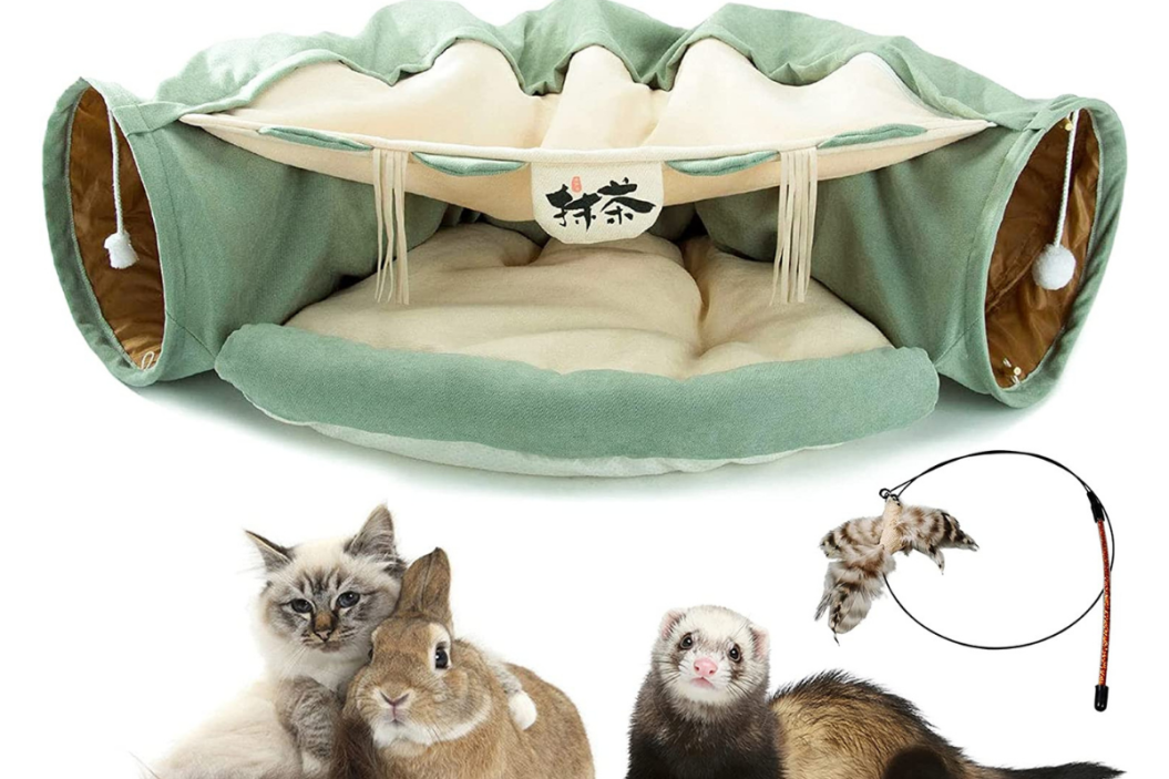 Ferret Toys