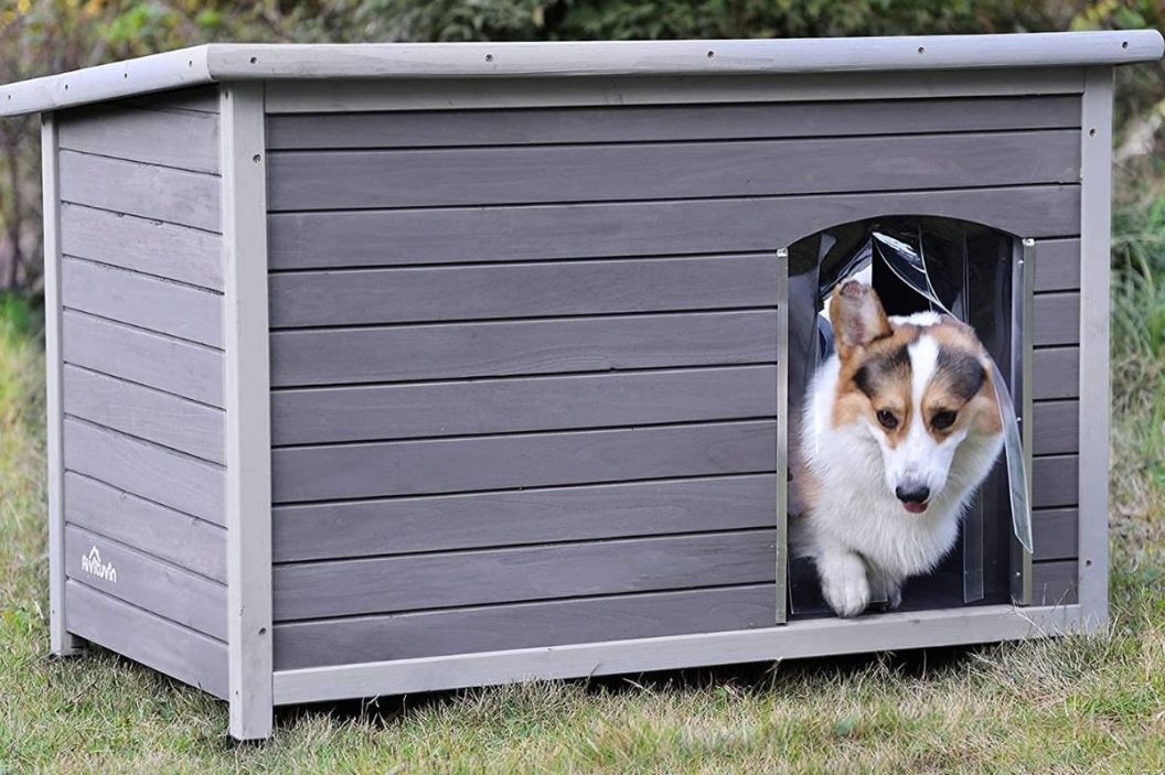 heated dog house