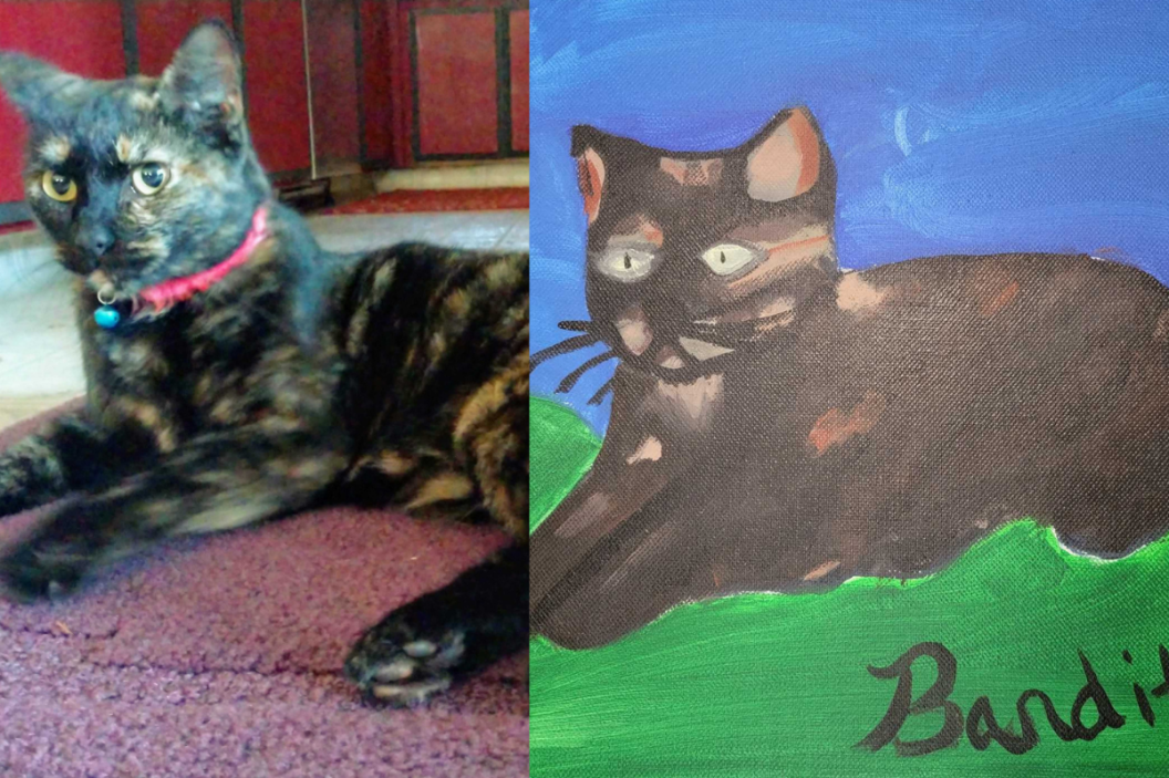 paint your pet class