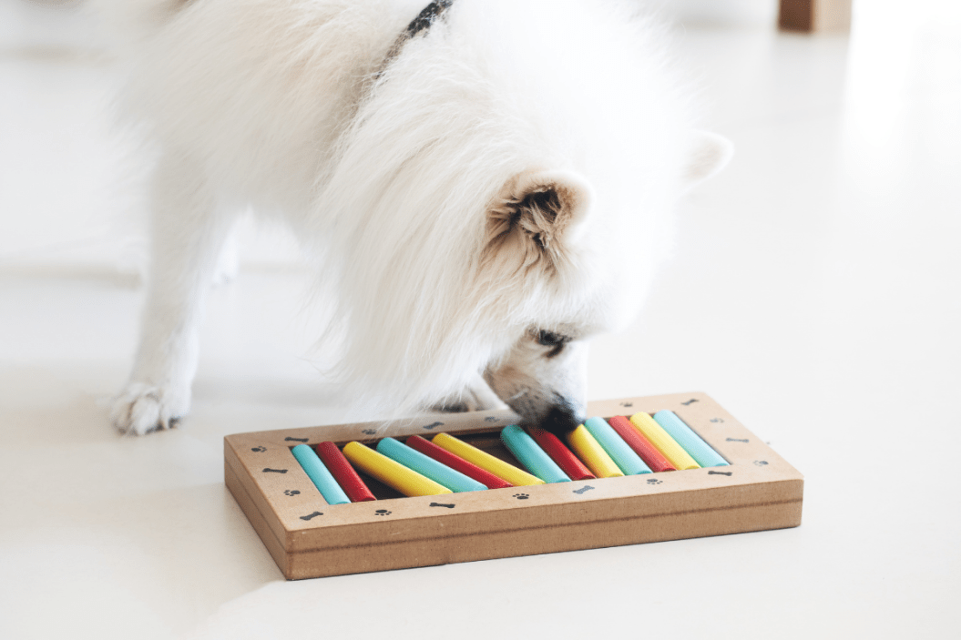 treat dispensing dog toys