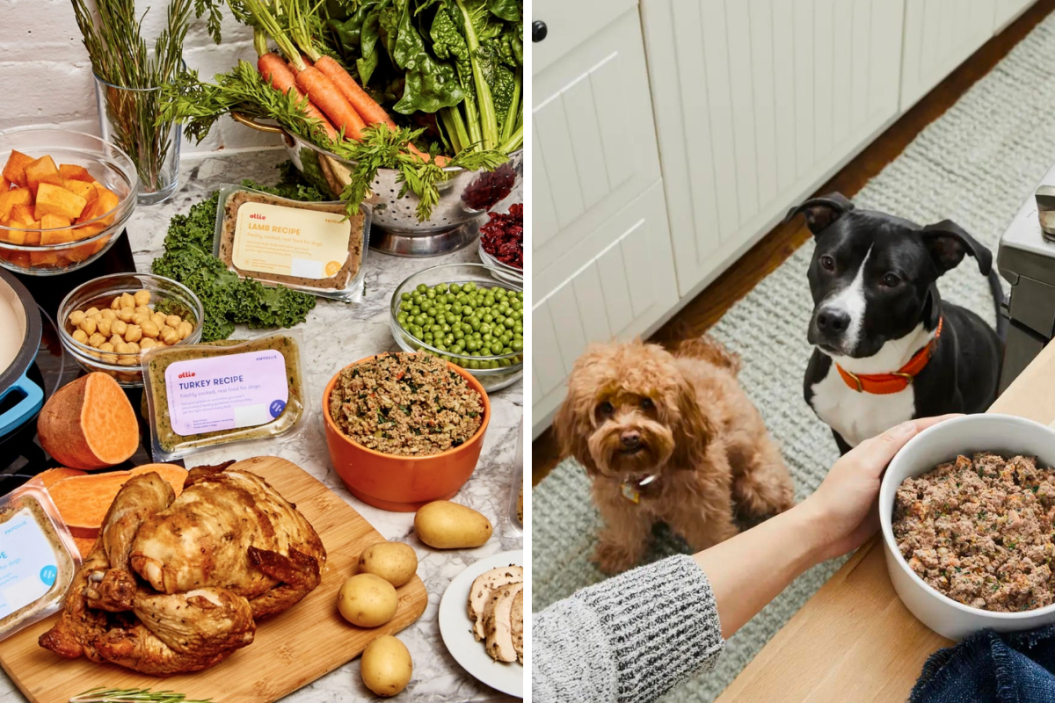 subscription dog food fresh
