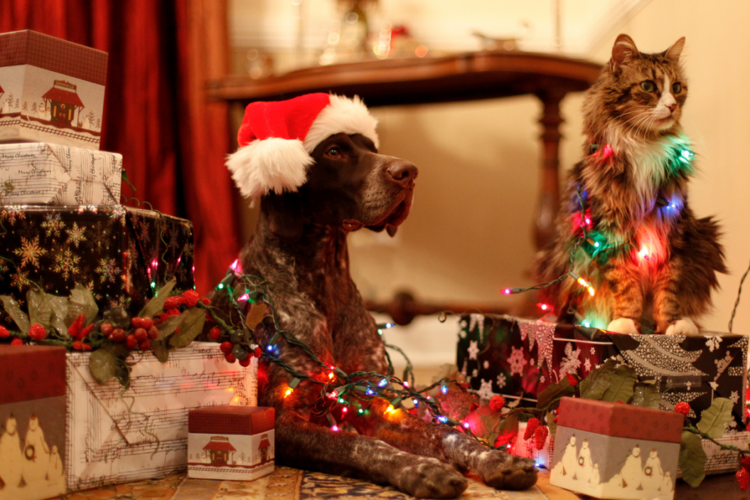 gifts for pet lovers