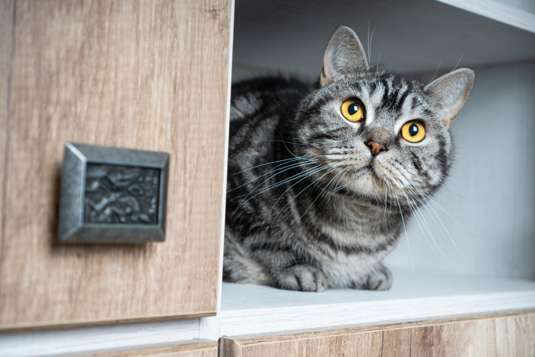 litter box furniture