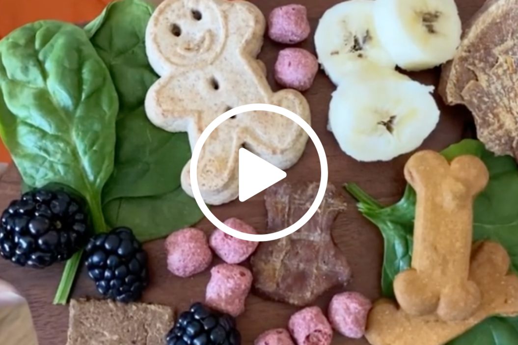 dog charcuterie board