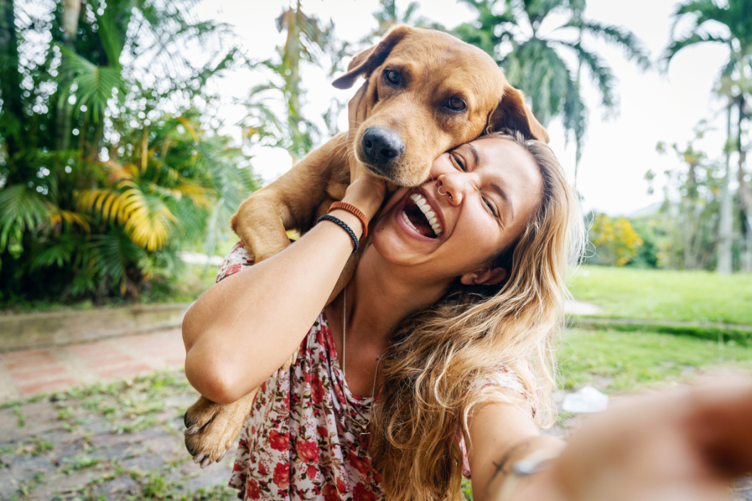 a dog hugs his owner